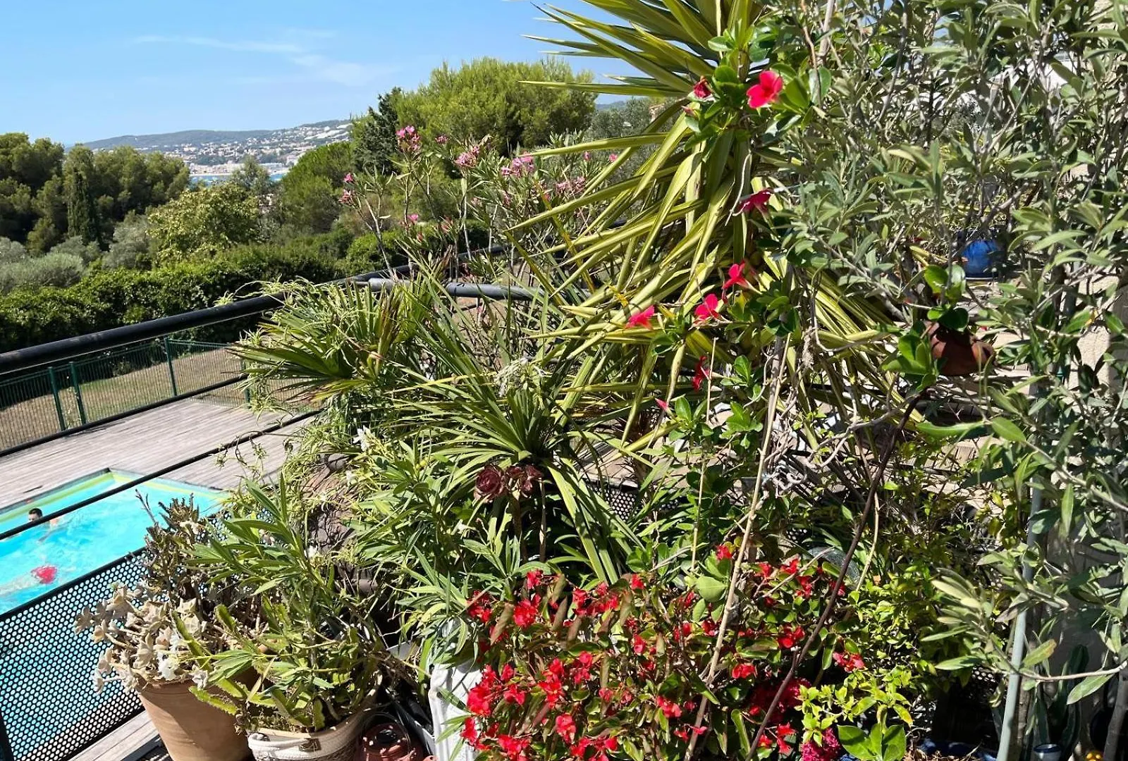 Apartamento Appart, Vue Mer Exceptionnelle A Sanary, A Pied 10Mn Criques Et Plage